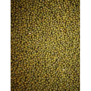Green bean 25KGx1