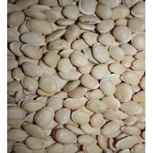 White bean 30KGx1